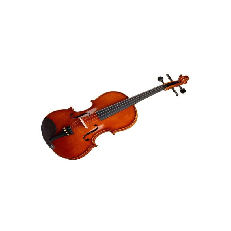 VIOLA 16" (ESTUDIO)