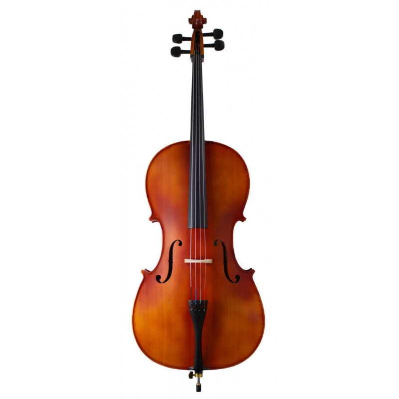 VIOLONCELLO (ESTUDIO)