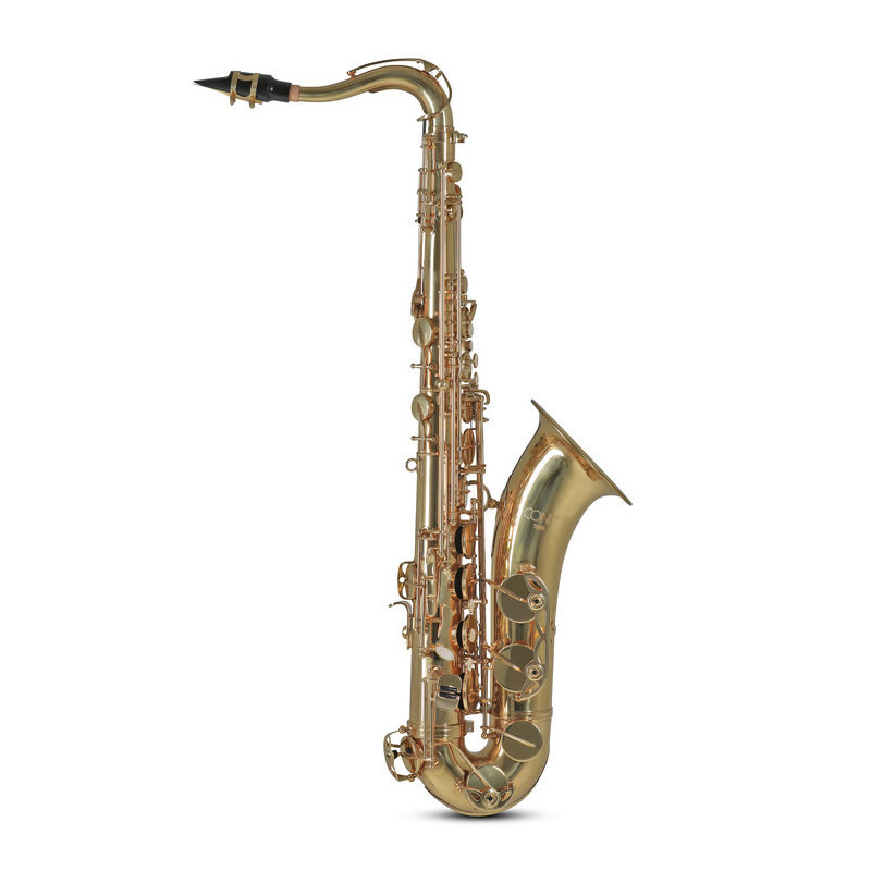 SAXO TENOR SIB. (ESTUDIO)