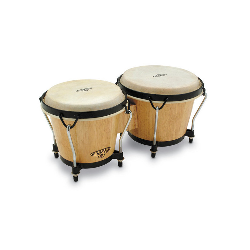 BONGOS